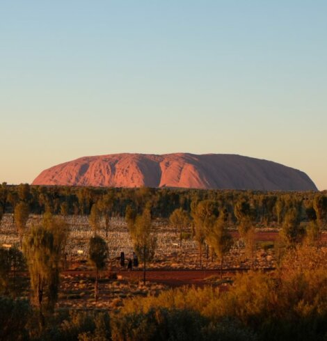 Coup de ♥ : Field of lights à Uluru