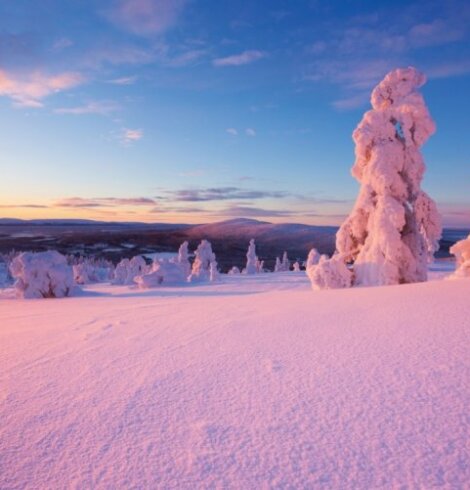 Bucketlist : Passer Noël en Laponie