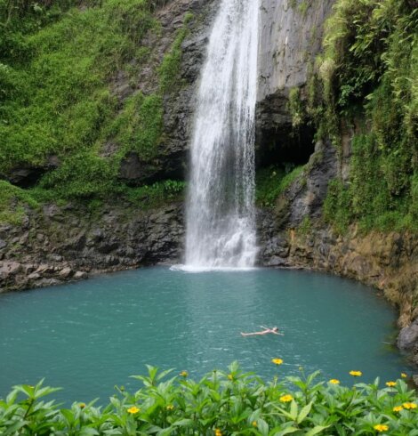 Journée dans la vallée de Papeno’o et dégustation de poisson cru à la tahitienne